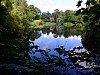 DSCF7629.jpg