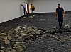 DSCF7644.jpg