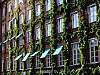 DSCF7668.jpg