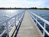 DSCF7711.jpg