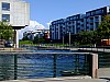 DSCF7731.jpg