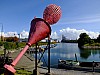 DSCF7736.jpg