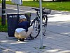 DSCF7740.jpg