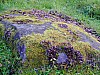 DSCF7759.jpg