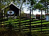 DSCF7776.jpg
