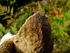 DSCF7778.jpg