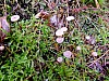 DSCF7786.jpg