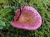 DSCF7788.jpg