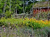 DSCF7809.jpg