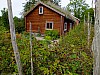 DSCF7816.jpg