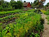 DSCF7817.jpg