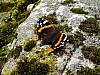 DSCF7819.jpg