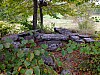 DSCF7832.jpg