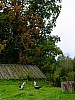 DSCF7834.jpg