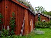DSCF7836.jpg