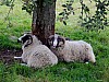 DSCF7837.jpg
