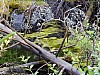DSCF7843.jpg