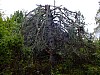 DSCF7846.jpg