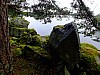 DSCF7856.jpg