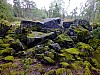 DSCF7862.jpg