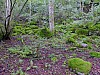 DSCF7863.jpg