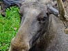 DSCF7873.jpg