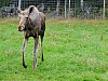 DSCF7877.jpg