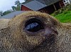 DSCF7879a.jpg
