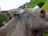 DSCF7882.jpg