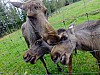 DSCF7892.jpg