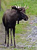 DSCF7897.jpg