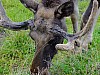 DSCF7907.jpg