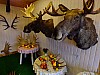 DSCF7915.jpg
