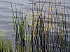 DSCF7928.jpg