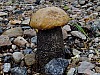 DSCF7939.jpg
