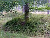 DSCF7961.jpg