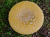 DSCF7967.jpg