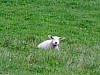 DSCF7976.jpg