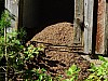 DSCF8005.jpg