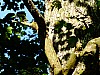 DSCF8014.jpg