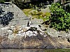 DSCF8025.jpg