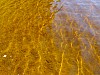 DSCF8041.jpg