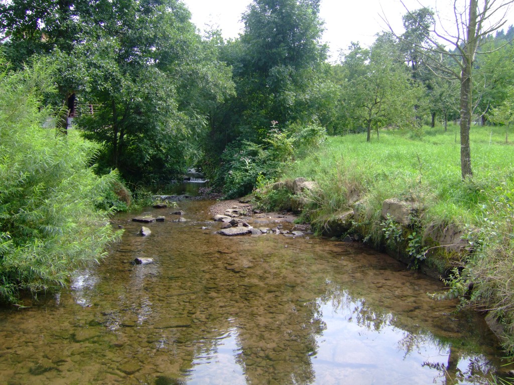 DSCF6397.jpg