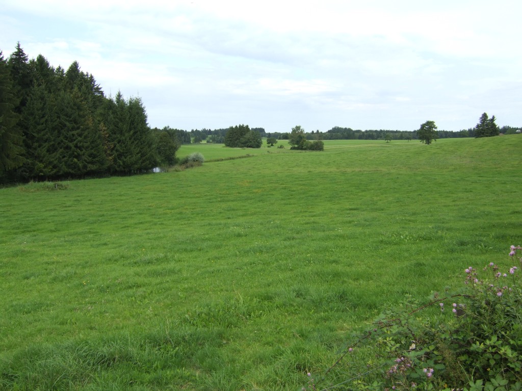 DSCF6433.jpg