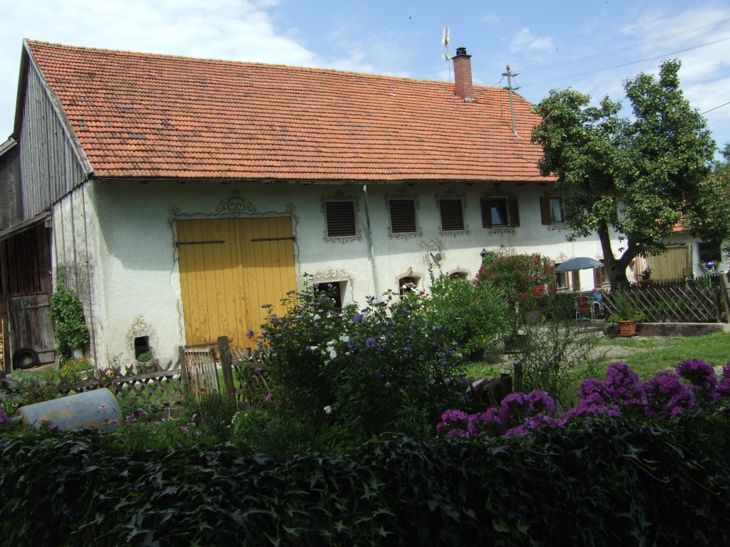 DSCF6446.jpg