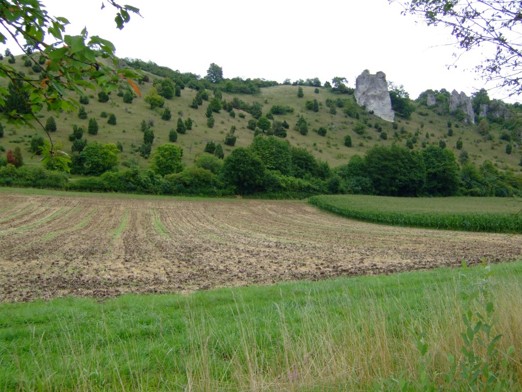 DSCF6469.jpg