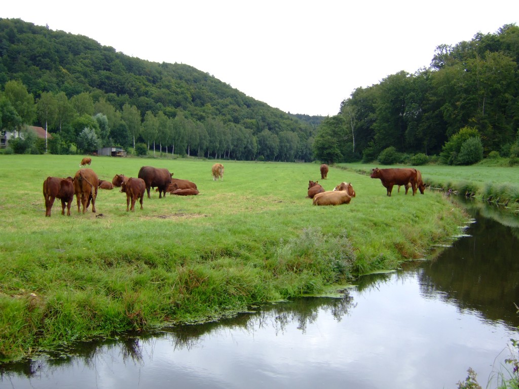 DSCF6473.jpg
