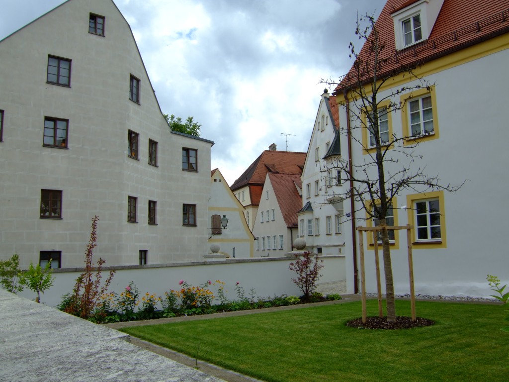 DSCF6478.jpg
