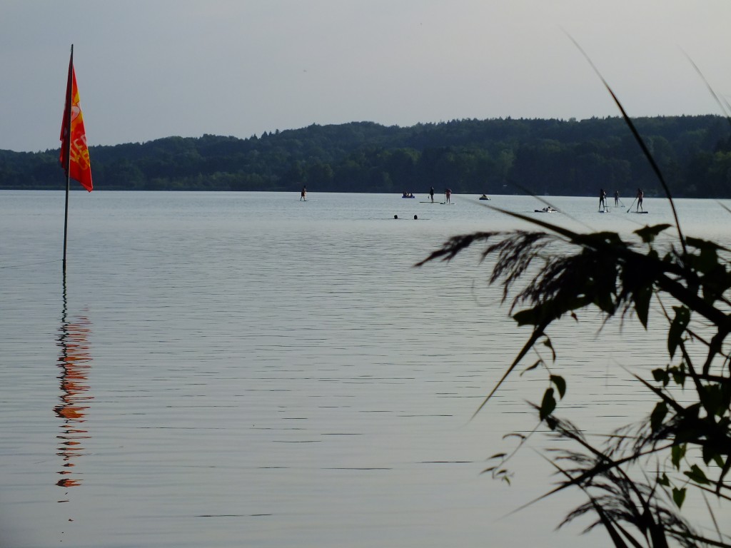 DSCF7328.jpg