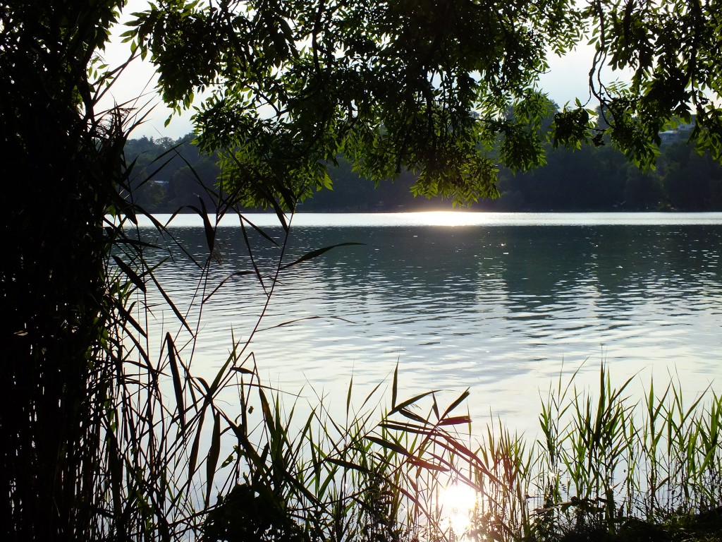 DSCF7334.jpg